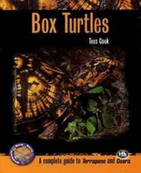 Abbildung von: Box Turtles - TFH Publications,U.S.