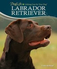 Enlarge image Cover: Labrador Retriever - TFH Publications,U.S.