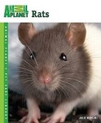 Enlarge image Cover: Rats - Tfh Publications, Inc.