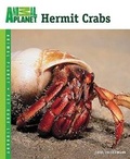 Cover: Hermit Crabs - Tfh Publications, Inc.