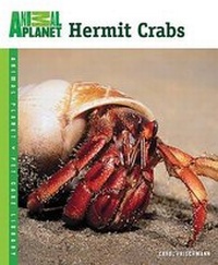 Abbildung von: Hermit Crabs - Tfh Publications, Inc.