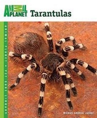 Abbildung von: Tarantulas - TFH Publications,U.S.