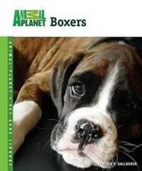 Enlarge image Cover: Boxers - Tfh Publications, Inc.