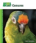 Cover: Conures - Tfh Publications, Inc.