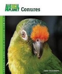Enlarge image Cover: Conures - Tfh Publications, Inc.