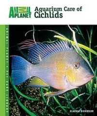 Abbildung von: Aquarium Care of Cichlids - TFH Publications,U.S.