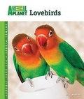 Cover: Lovebirds - TFH Publications,U.S.