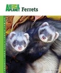 Cover: Ferrets - TFH Publications