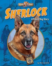 Enlarge image Cover: Sherlock - Bearport Books
