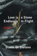 Cover: Love Is a Stone Endlessly in Flight - Brighthorse Books