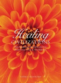 Enlarge image Cover: Healing Civilizations - Cameron & Company Inc