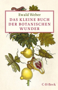 Abbildung von: Das kleine Buch der botanischen Wunder - C.H.BECK