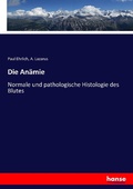 Cover: Die Anaemie - Hansebooks