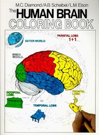 Enlarge image Cover: The Human Brain Coloring Book - Collins Reference