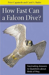 Enlarge image Cover: How Fast Can a Falcon Dive? - Rutgers University Press