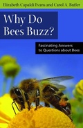 Cover: Why Do Bees Buzz? - Rutgers University Press