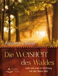 Cover: Die Weisheit des Waldes - Schirner Verlag