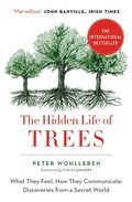 Cover: The Hidden Life of Trees - William Collins