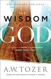 Enlarge image Cover: The Wisdom of God - Letting His Truth and Goodness Direct Your Steps - Bethany House Publishers, a division of Baker Publishing Group