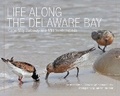 Cover: Life Along the Delaware Bay - Rivergate Books