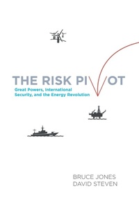 Enlarge image Cover: The Risk Pivot - Brookings Institution