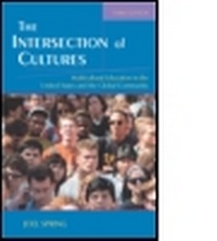 Enlarge image Cover: The Intersection of Cultures - Routledge