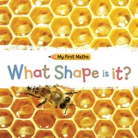 Enlarge image Cover: My First Maths: What Shape Is It? - Franklin Watts Ltd