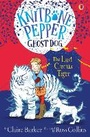 Cover: The Last Circus Tiger - Usborne Publishing Ltd