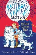Cover: The Last Circus Tiger - Usborne Publishing Ltd