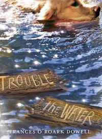 Enlarge image Cover: Trouble the Water - Simon & Schuster