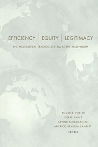 Enlarge image Cover: Efficiency, Equity, and Legitimacy - Brookings Institution