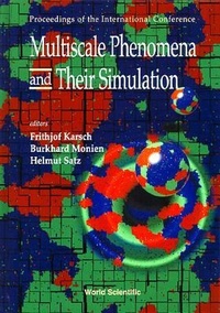 Abbildung von: Multiscale Phenomena And Their Simulation - Proceedings Of The International Conference - World Scientific Publishing Co Pte Ltd