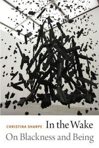 Enlarge image Cover: In the Wake - De Gruyter
