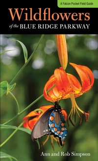 Enlarge image Cover: Wildflowers of the Blue Ridge Parkway - Falcon Press Publishing