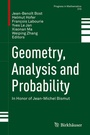 Cover: Geometry, Analysis and Probability - Birkhäuser