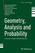 Cover: Geometry, Analysis and Probability - Birkh&auml;user