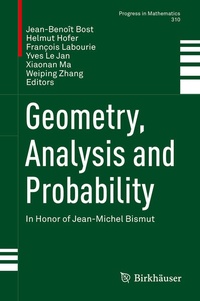 Enlarge image Cover: Geometry, Analysis and Probability - Birkhäuser