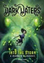 Cover: Into the Storm - Raintree
