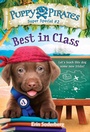 Cover: Puppy Pirates Super Special #2: Best in Class - Random House Books for Young Readers