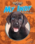 Cover: My Indy - Bearport Books