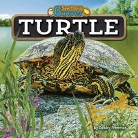 Enlarge image Cover: Turtle - Bearport Books