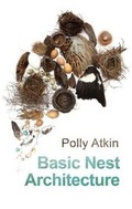 Cover: Basic Nest Architecture - Seren