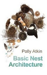 Enlarge image Cover: Basic Nest Architecture - Seren