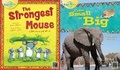 Cover: The Strongest Mouse Big Book - Clean Slate Press