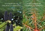 Cover: A Handbook of the World's Conifers (2 vols.) - Brill