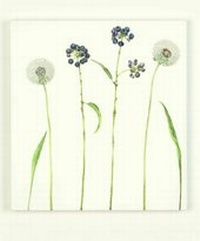 Enlarge image Cover: Halme, Rispen, Dolden_Beatrice Adler - DesignConcepts