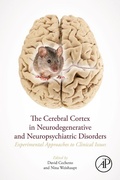 Bild: The Cerebral Cortex in Neurodegenerative and Neuropsychiatric Disorders - Academic Press