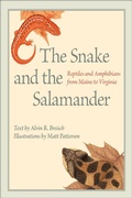 Cover: The Snake and the Salamander - Johns Hopkins University Press