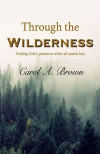 Enlarge image Cover: Through The Wilderness - Lightsmith Publishers