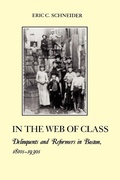 Cover: In the Web of Class - New York University Press